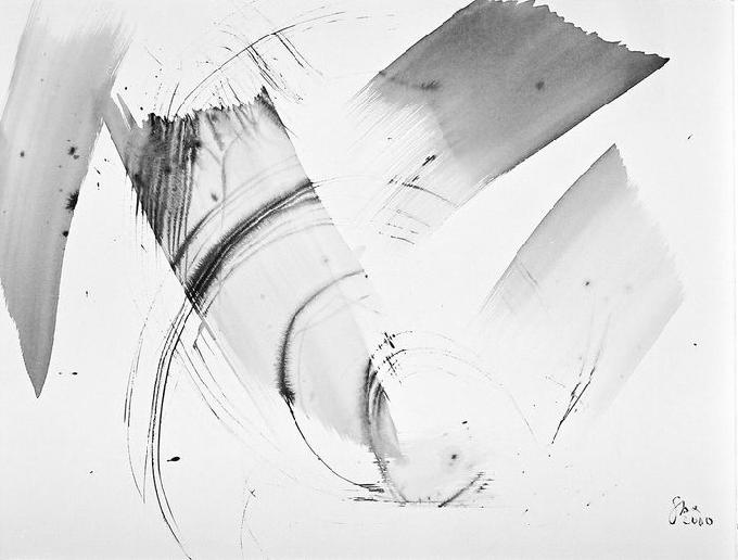 5-2000 rotating 51x66 chf 2000.jpg